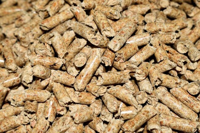 pellet hurt pellet hurt