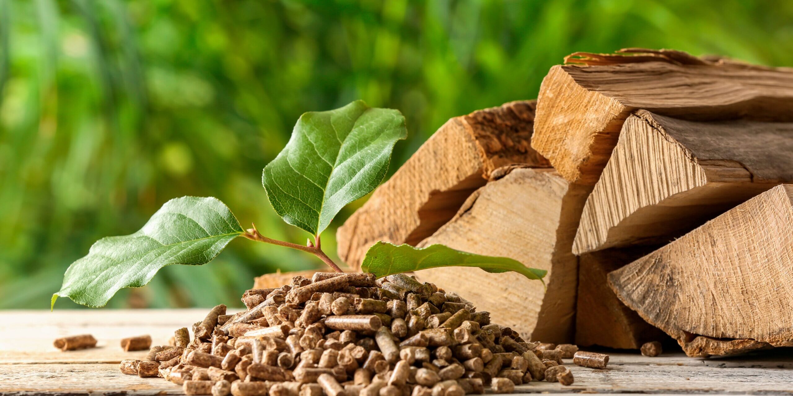 sprzedaż peletu pellet zielona energia